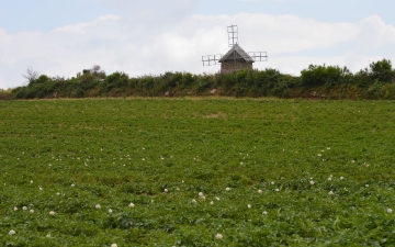 Présentation Les pommes de terre d'Ally